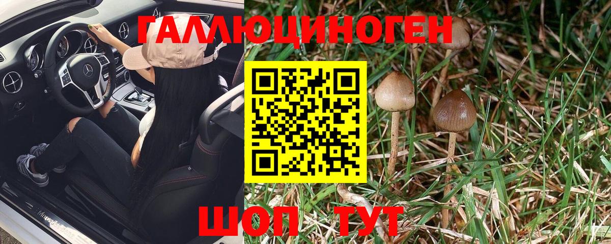 Псилоцибиновые грибы мицелий Нягань